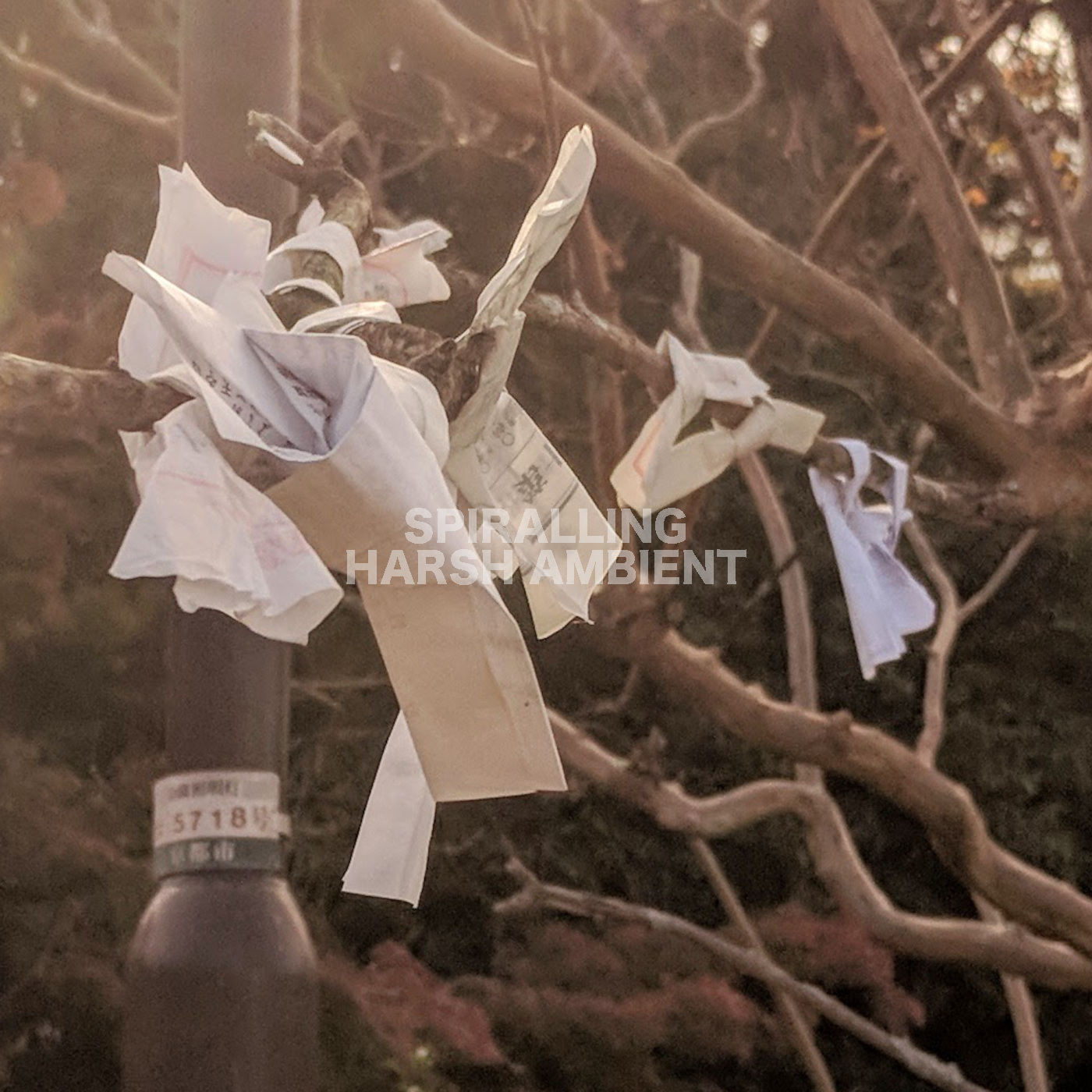 Harsh Ambient